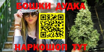 индика Аргун