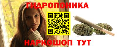 индика Аргун