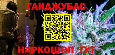 индика Аргун
